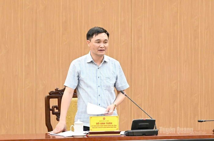 Đồng chí Đỗ Anh Tuấn, Phó Chủ tịch UBND tỉnh, Tổ trưởng Tổ công tác chủ trì cuộc họp.