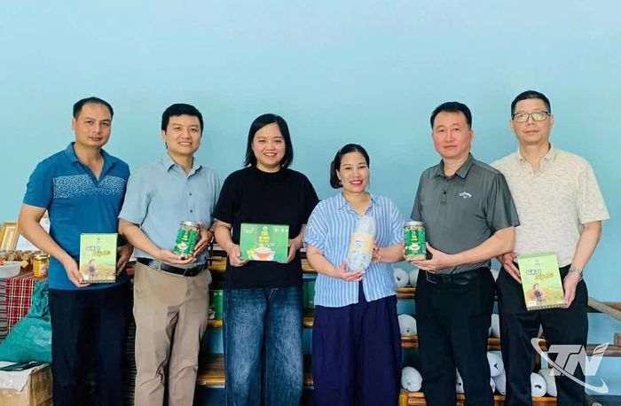 HTX Yến Dương làm việc với đơn vị tư vấn Enterprise Evaluation&amp; Investment Co.,Lđt. trong khuôn khổ Dự án KoiCa Hàn Quốc về nâng cao năng lực chế biến.