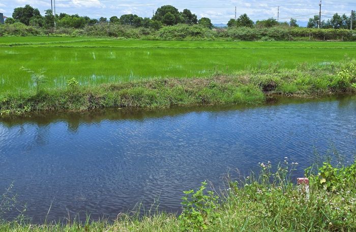 Để đảm bảo tiến độ dự án sớm hoàn thành trong năm 2026, nhà thầu đang khẩn trương thi công để hoàn thiện nền đường đoạn 2km/2,9km đã có mặt bằng. Chủ đầu tư cũng đề nghị UBND tỉnh Quảng Trị chỉ đạo UBND xã Gio Linh đẩy nhanh công tác giải phóng mặt bằng, bàn giao mặt bằng thi công 1km còn lại trong tháng 6.