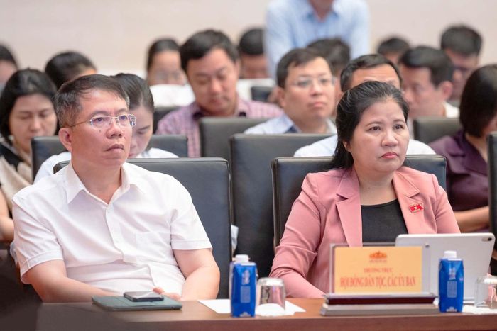 Các đại biểu dự hội nghị
