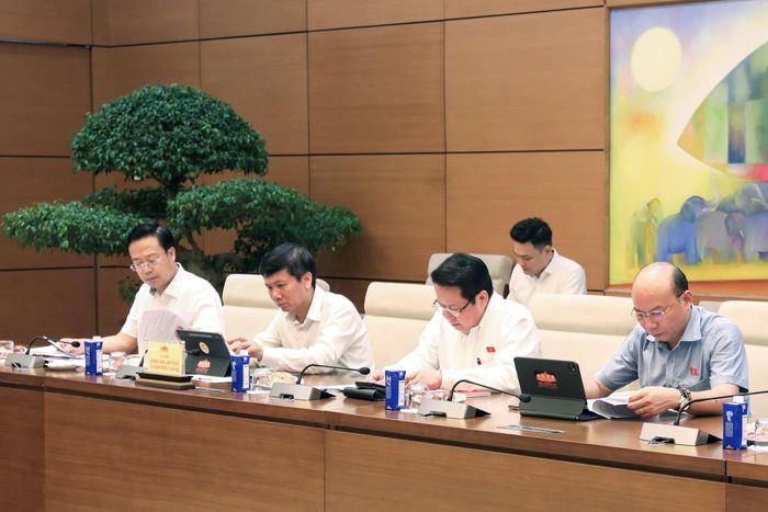 Các đại biểu dự Phiên họp