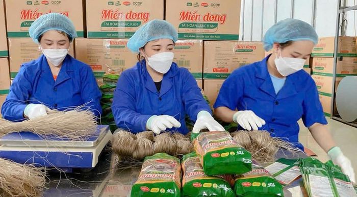 HTX Tài Hoan đã có sản phẩm đạt OCOP 5 sao.