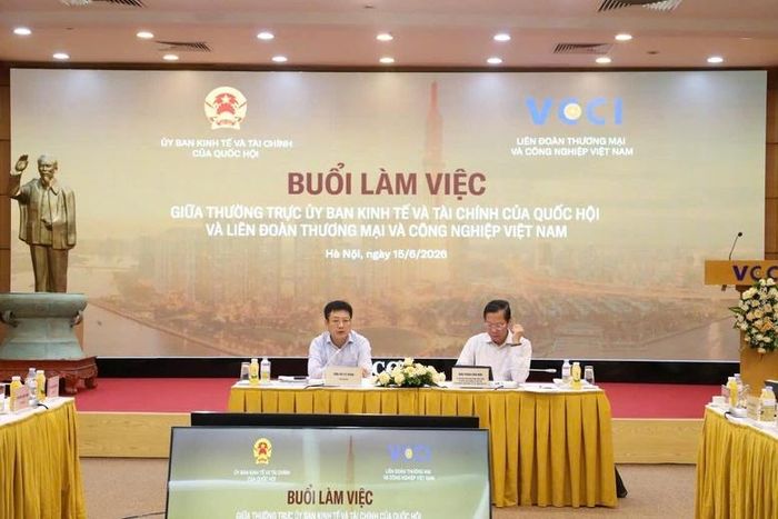 Đoàn công tác của Thường trực Ủy ban Kinh tế và Tài chính của Quốc hội do Chủ nhiệm Ủy ban Phan Văn Mãi dẫn đầu đã có buổi làm việc với lãnh đạo VCCI