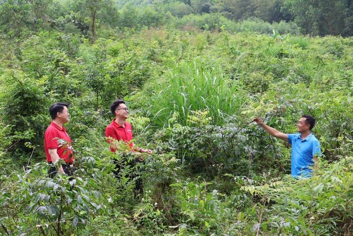  Dòng vốn Agribank được dẫn dắt vào các mô hình phát triển bền vững 