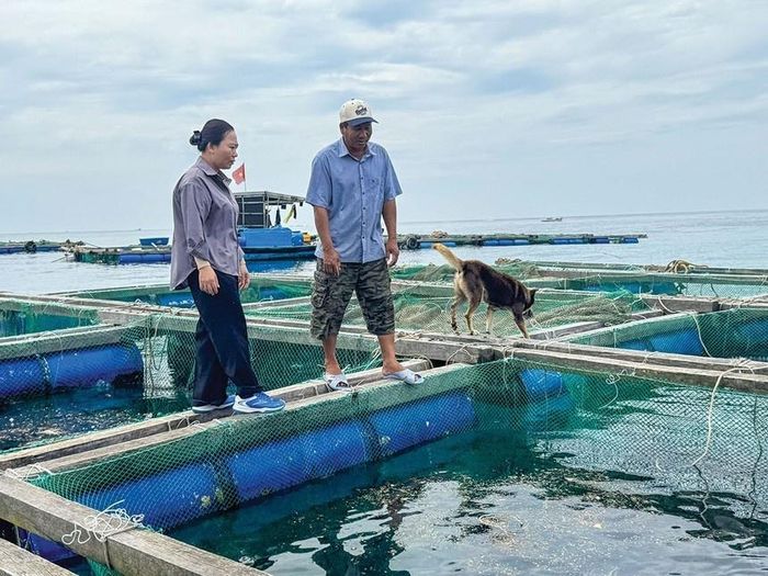  Bà Lê Thị Của, Giám đốc Agribank Chi nhánh Lý Sơn thăm lồng bè của gia đình anh Huỳnh Ngọc Thảo, thôn Đông An Hải, Đặc khu Lý Sơn 