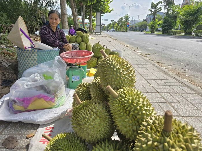 Trái sầu riêng vùng ĐBSCL liên tục gặp khó khăn khi bước vào vụ thu hoạch.
