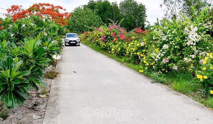 Một tuyến đường kiểu mẫu khang trang, sạch đẹp, rực rỡ sắc hoa tại xã Tân Hưng.