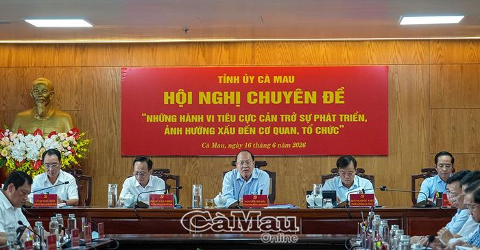  Các đồng chí lãnh đạo tỉnh Cà Mau chủ trì hội nghị.
