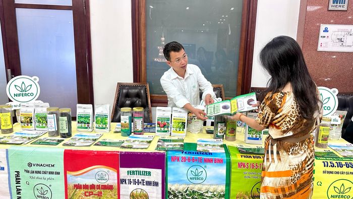 Các đại biểu tham quan gian hàng trưng bày sản phẩm phân bón bên lề Hội thảo.