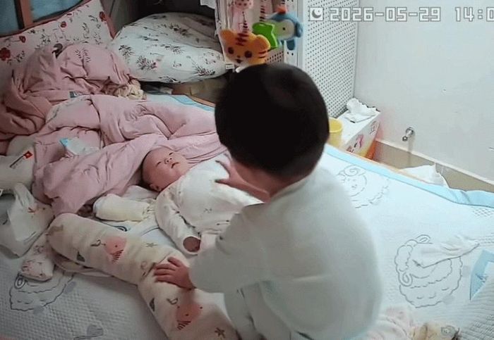 Nào ngờ cậu bé là một người anh tình cảm, biết yêu thương em dù vẫn còn rất nhỏ.