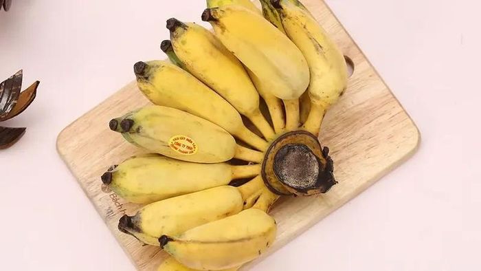 Chuối tây có thân quả ngắn hơn, phần bụng phình to