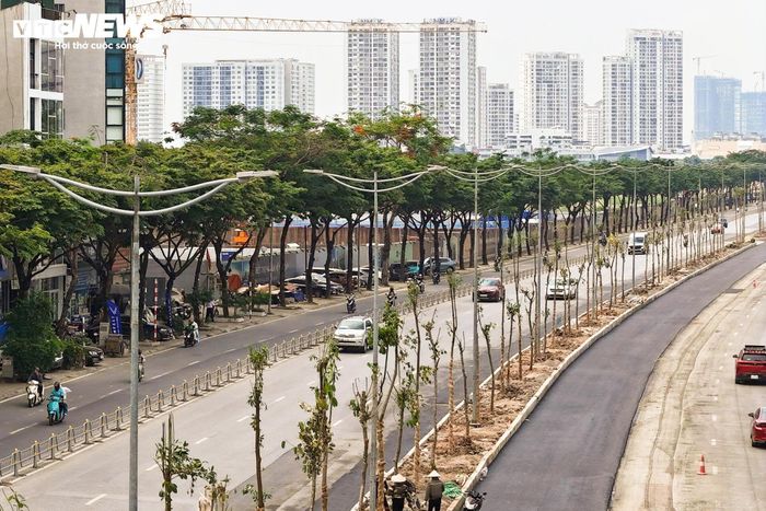 Không chỉ cây xanh, hệ thống chiếu sáng dọc tuyến đường cũng đang được hoàn thiện. Nhiều vị trí đã được lắp đặt đồng bộ các hạng mục kỹ thuật, góp phần tạo diện mạo mới cho tuyến đường sau thời gian dài thi công.