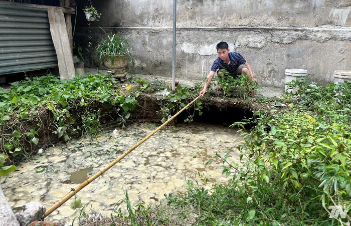 Hố sụt lún sâu hơn 4 mét xuất hiện tại tổ 3, phường Linh Sơn. (Ảnh: Báo Thái Nguyên).