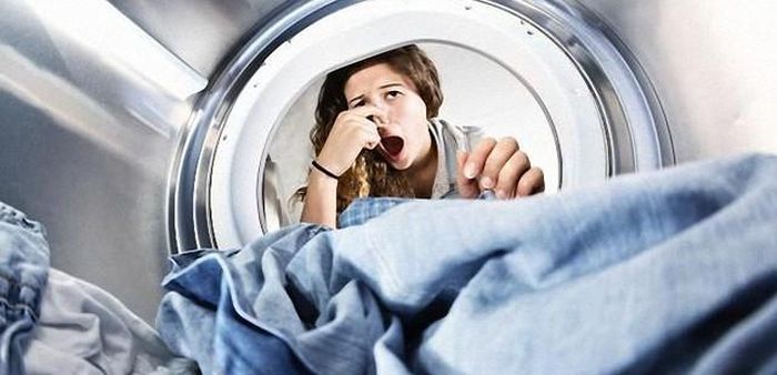 Sau một thời gian sử dụng, không ít người gặp phải tình trạng máy giặt xuất hiện mùi hôi khó chịu, thậm chí khiến quần áo sau khi giặt không còn thơm như mong muốn.