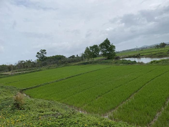 Hình minh họa. Ảnh: YC