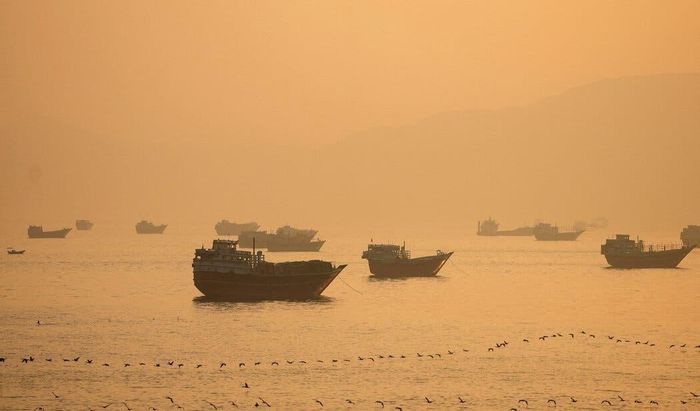  Các tàu thuyền neo đậu gần eo biển Hormuz ngày 15/6. Dù Tổng thống Trump tuyên bố eo biển Hormuz đã được mở lại, phần lớn tàu thuyền vẫn chưa dám di chuyển qua eo biển Hormuz. Ảnh: Reuters.