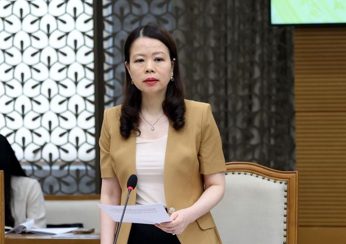 Thứ trưởng Bộ Ngoại giao Nguyễn Minh Hằng phát biểu tại cuộc họp - Ảnh: VGP/Đức Tuân
