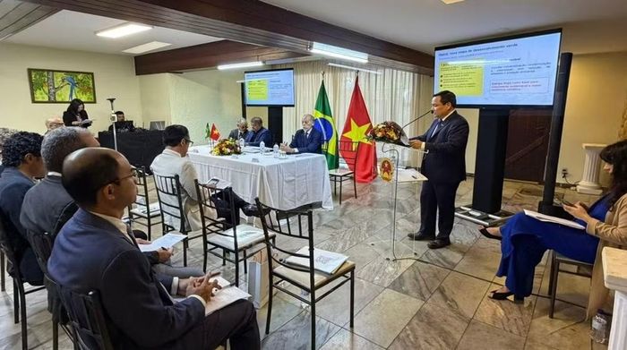 Quang cảnh hội thảo. (Ảnh do Đại sứ quán Việt Nam tại Brazil cung cấp)