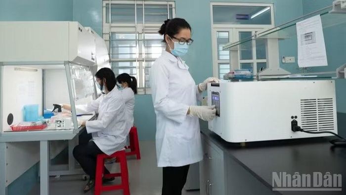 Các lô tôm bố mẹ nhập khẩu đều trải qua quy trình kiểm dịch nghiêm ngặt, lấy mẫu xét nghiệm các bệnh nguy hiểm trước khi đưa vào sản xuất, nhằm ngăn chặn mầm bệnh xâm nhập vào chuỗi sản xuất giống.