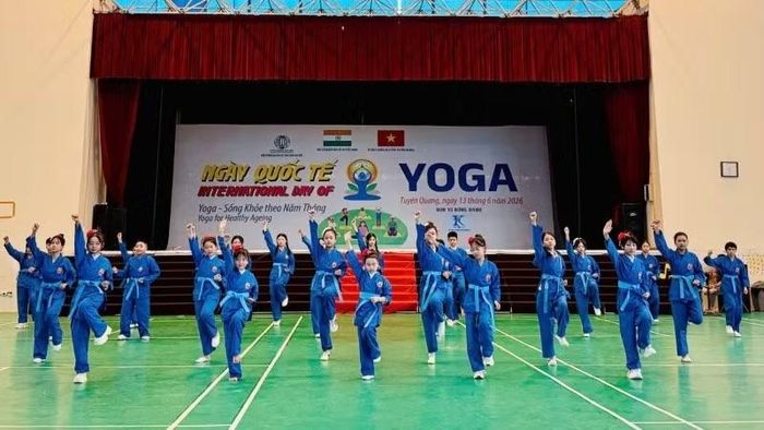 Đồng diễn võ nhạc Vovinam, một trong những hoạt động đáng chú ý tại Festival.