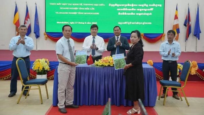 Các doanh nghiệp 2 tỉnh Đắk Lắk và Mondulkiri ký kết Bản ghi nhớ hợp tác tại diễn đàn.