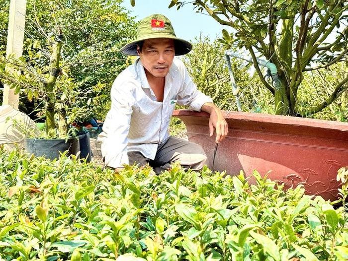 Hơn hai thập niên bền bỉ với nghề, người dân Bình Lợi đã biến cây mai vàng thành biểu tượng văn hóa và niềm tự hào của vùng đất phía Tây TPHCM.