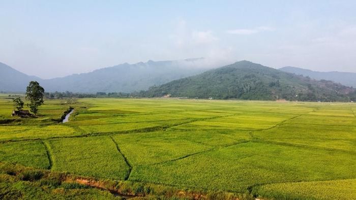 Mô hình thu gom bao bì thuốc bảo vệ thực vật đang góp phần xây dựng những cánh đồng xanh, sạch, an toàn.