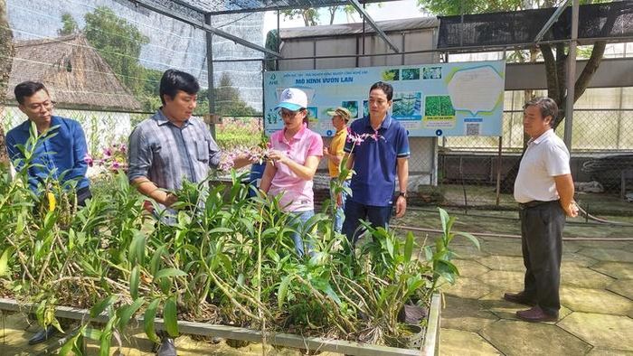 Du khách tham quan mô hình trồng lan tại Khu Nông nghiệp công nghệ cao TPHCM