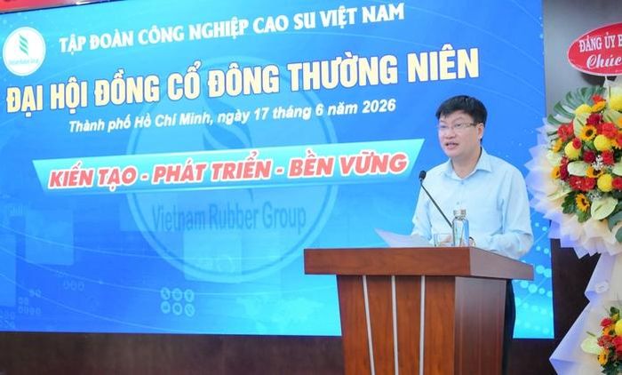 Ông Nguyễn Quế Dương, Phó Cục trưởng Cục Phát triển doanh nghiệp nhà nước (Bộ Tài chính), phải biểu tại đại hội