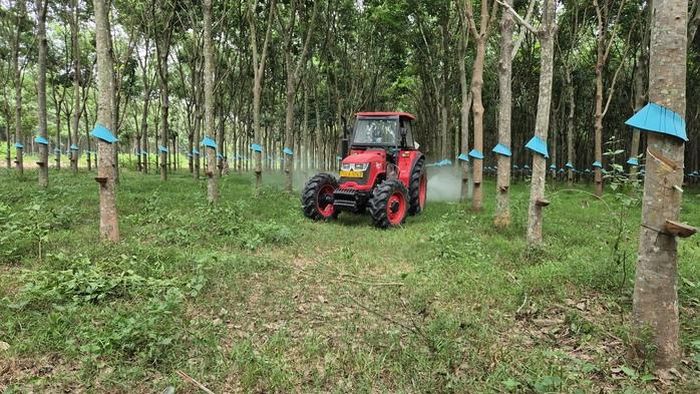 Giá cao su thiên nhiên bước vào chu kỳ tăng giá
