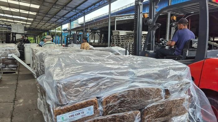 Nhu cầu cao su tăng trong khi nguồn cung giảm