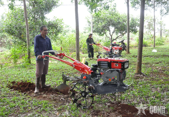 Đội sản xuất số 12 (Đoàn Kinh tế - Quốc phòng 75) dùng máy rạch rãnh bón phân mang lại hiệu quả cao.