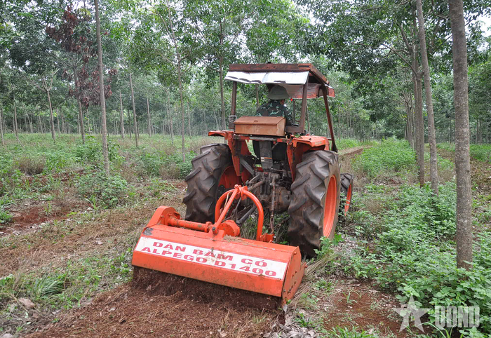 Đoàn Kinh tế - Quốc phòng 75 áp dụng cơ giới vào sản xuất, góp phần nâng cao năng suất lao động, tăng thu nhập cho công nhân.