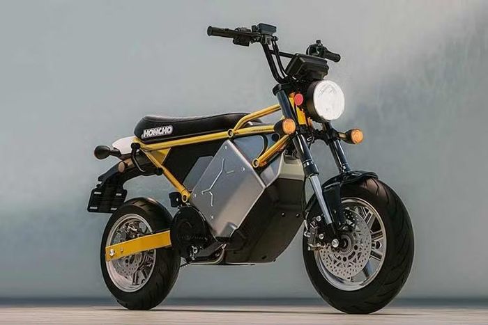 LiveWire là một thương hiệu con được Harley-Davidson thành lập từ năm 2021 chịu trách nhiệm về sản xuất xe máy điện. Bộ đôi S4 Honcho được phát triển thông qua sự hợp tác giữa LiveWire và hãng xe Đài Loan Kymco.
