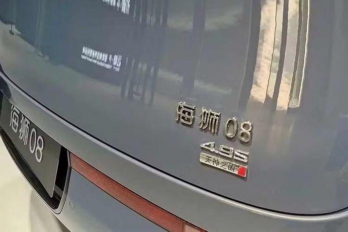 Phiên bản dùng pin 115,072 kWh và dẫn động cầu sau của BYD Sealion 08 có trọng lượng không tải 2.595 kg. Riêng bộ pin chiếm khoảng 31,2% tổng trọng lượng của xe. Phiên bản này còn được trang bị mô-tơ điện có công suất tối đa 370 kW (496 mã lực).