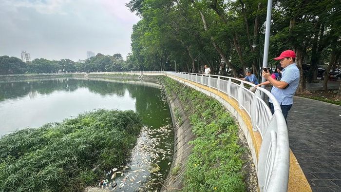 Nhiều người dân khi đi tập thể dục quanh hồ điều hòa Công viên Nghĩa Đô (Hà Nội) bất ngờ phát hiện lượng lớn cá chết, nổi dày đặc trên mặt nước.