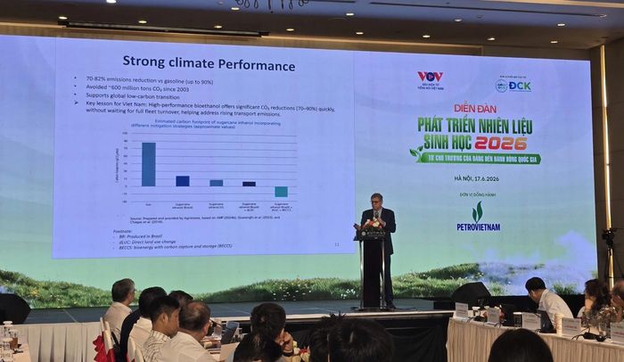 Theo Ngài Marco Farani - Đại sứ Brazil tại Việt Nam, kể từ năm 2003, việc sử dụng ethanol đã giúp Brazil tránh phát thải khoảng 600 triệu tấn CO₂.