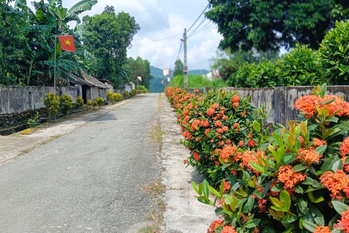 Trong đợt thi đua, các cấp hội đã thành lập được 25 CLB "Gia đình 5 có - NTM kiểu mẫu"; hàng chục mô hình dân vận khéo chung tay bảo vệ môi trường xây dựng NTM; 826 hộ gia đình được gắn biển các mô hình “5 không, 3 sạch”, “Nhà sạch - vườn đẹp”.