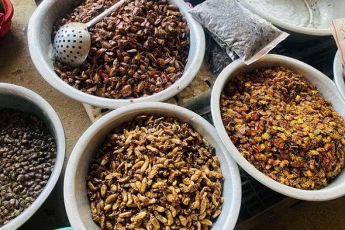 Nhiều loại côn trùng được bày bán ở chợ Nà Sy. (Ảnh: Báo Lao động)