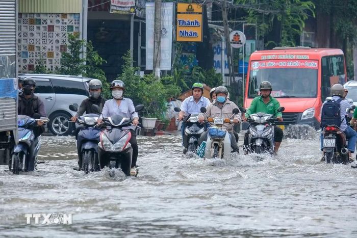 Ảnh minh họa. (Nguồn: TTXVN)