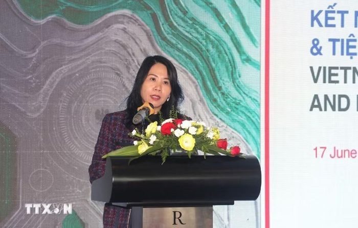 Bà Bùi Thị Ninh, Phó Giám đốc Liên đoàn thương mại và công nghiệp Việt Nam Chi nhánh khu vực Thành phố Hồ Chí Minh (VCCI-HCM) phát biểu. (Ảnh: Mỹ Phương/TTXVN)