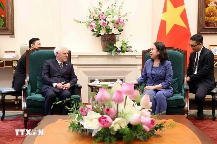 Phó Chủ tịch nước Võ Thị Ánh Xuân tiếp Đại sứ Argentina Marcos Antonio Bednarski đến chào từ biệt. (Ảnh: An Đăng/TTXVN)