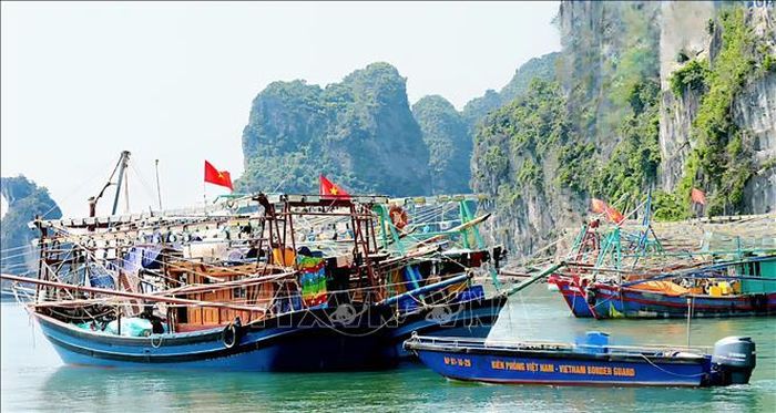 1 trong số điểm neo đậu trên vịnh Hạ Long, một trong 35 điểm neo đậu tàu thuyền đã được công khai và cấp phép, hoạt động theo các quy định mới nhằm đảm bảo an toàn và trật tự. Ảnh: TTXVN phát