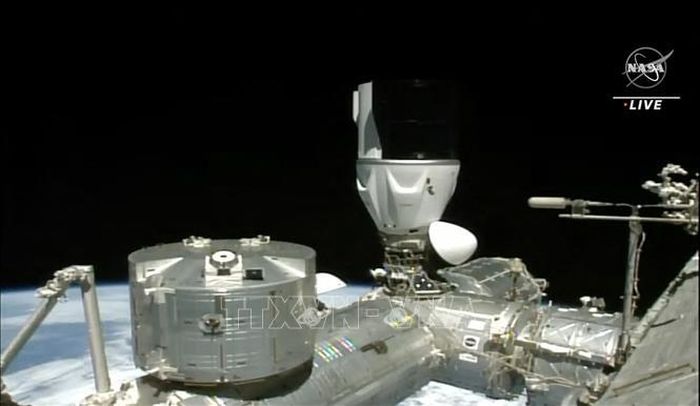 Tàu vũ trụ Dragon Crew-6 của Công ty SpaceX kết nối với Trạm ISS ngày 3/3/2023. Ảnh minh họa: AFP/TTXVN