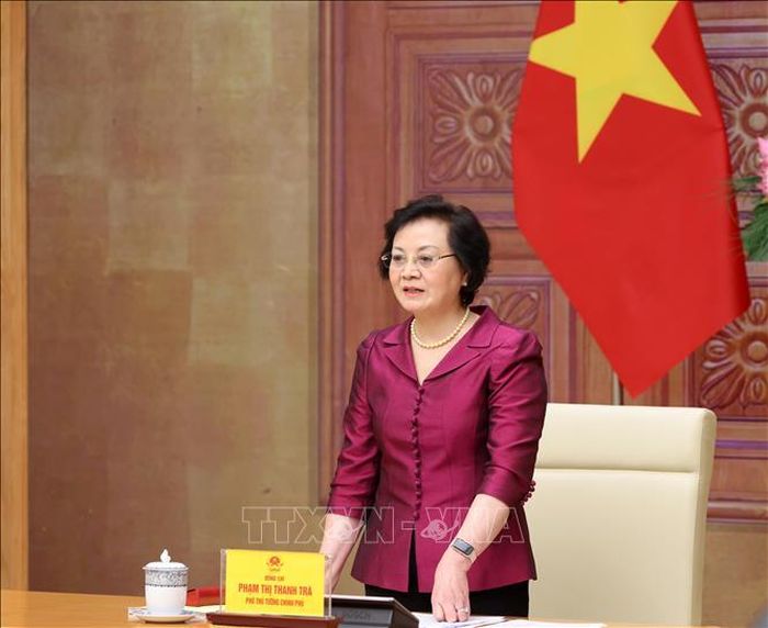 Phó Thủ tướng Phạm Thị Thanh Trà, Trưởng Ban Chỉ đạo phát biểu chỉ đạo. Ảnh: Lâm Khánh/ TTXVN