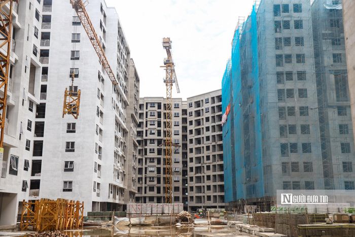 Giá bán căn hộ nhà ở xã hội CT3 Kim Chung là 18,4 triệu đồng/m2 (đã gồm VAT 5% và phí bảo trì 2%), tương đương 915 triệu đồng đến hơn 1,1 tỷ đồng cho một căn hộ.