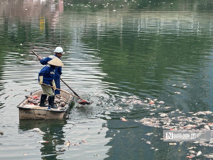 Ngay sau khi tiếp nhận thông tin phản ánh, chính quyền địa phương đã lập tức vào cuộc, chỉ đạo các cơ quan liên quan để phối hợp xử lý. Theo lãnh đạo phường Nghĩa Đô, dù công viên do phường quản lý nhưng phần mặt nước của hồ điều hòa lại thuộc thẩm quyền quản lý của đơn vị thoát nước.