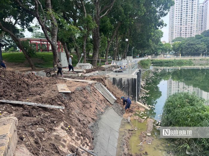 Khi mực nước hồ giảm, nhiều nguồn nước khác vẫn tiếp tục đổ về đây gây ô nhiễm. Hai yếu tố này đã khiến cá trong hồ bị chết. Theo ghi nhận, công tác thi công trạm bơm nằm ở cuối công viên hiện vẫn đang diễn ra.