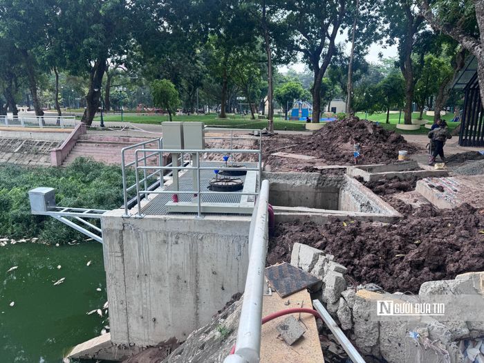 Cụ thể, thời gian gần đây, mực nước trong hồ được hạ thấp để phục vụ công tác thi công trạm bơm nằm ở cuối công viên. Điều này dẫn đến lượng ô xi trong nước bị sụt giảm.