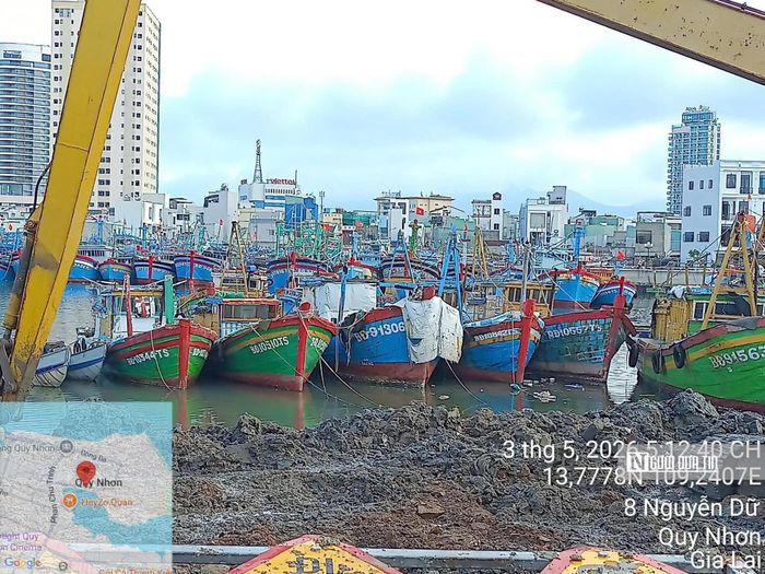 Phường Quy Nhơn tổ chức tổ công tác kiểm tra từng tàu, định vị nơi neo đậu để tiến hành các quy trình giải bản